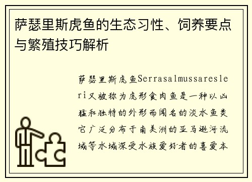 萨瑟里斯虎鱼的生态习性、饲养要点与繁殖技巧解析